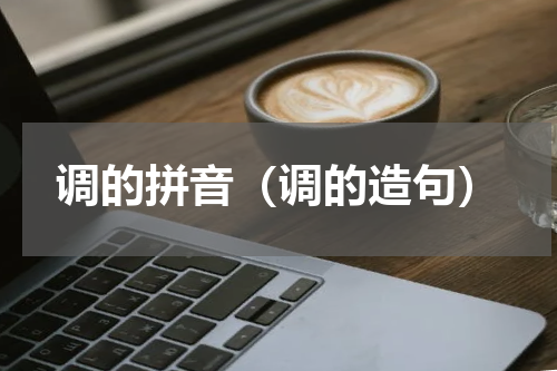 调的拼音（调的造句）