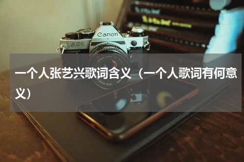 一个人张艺兴歌词含义（一个人歌词有何意义）