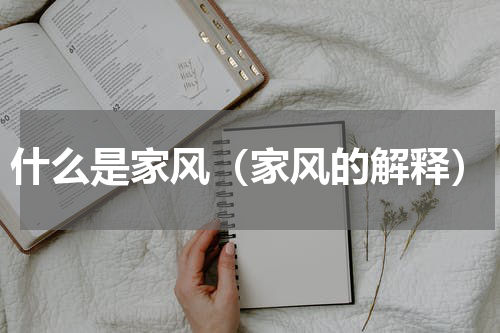 什么是家风（家风的解释）