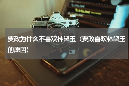 贾政为什么不喜欢林黛玉（贾政喜欢林黛玉的原因）