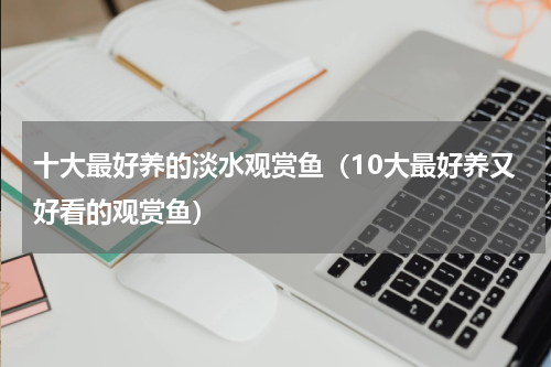 十大最好养的淡水观赏鱼（10大最好养又好看的观赏鱼）