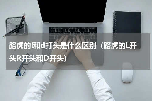 路虎的l和d打头是什么区别（路虎的L开头R开头和D开头）