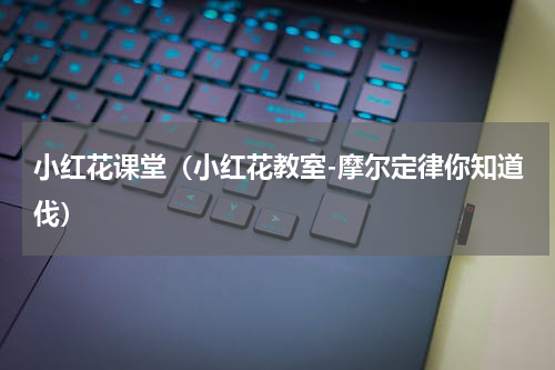 小红花课堂（小红花教室-摩尔定律你知道伐）
