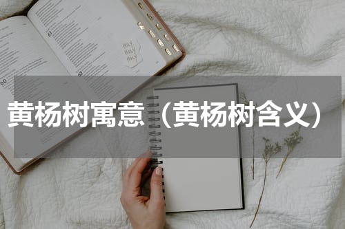 黄杨树寓意（黄杨树含义）