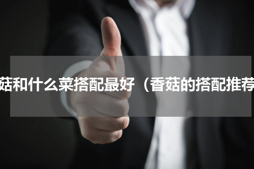 香菇和什么菜搭配最好（香菇的搭配推荐）