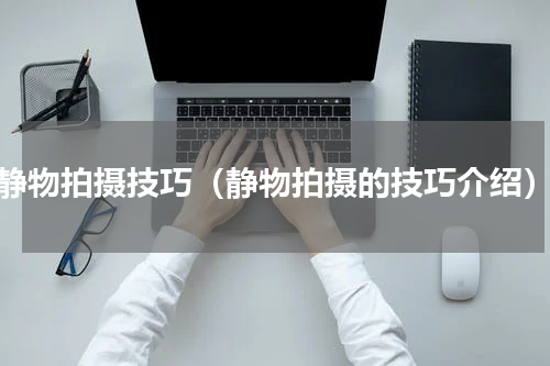 静物拍摄技巧（静物拍摄的技巧介绍）