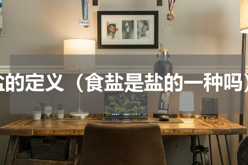 盐的定义（食盐是盐的一种吗）