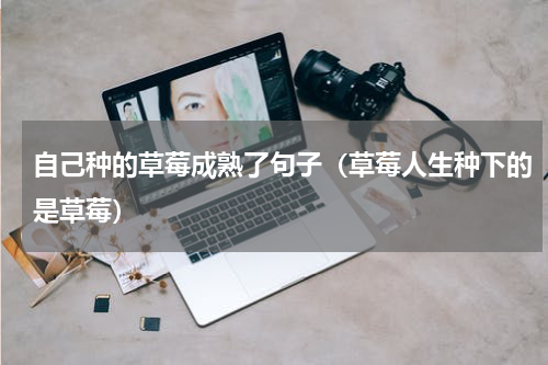 自己种的草莓成熟了句子（草莓人生种下的是草莓）