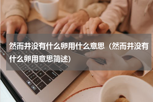 然而并没有什么卵用什么意思（然而并没有什么卵用意思简述）