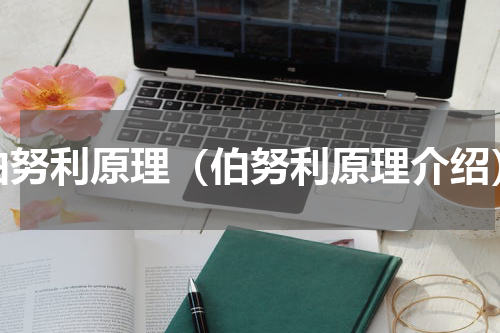 伯努利原理（伯努利原理介绍）