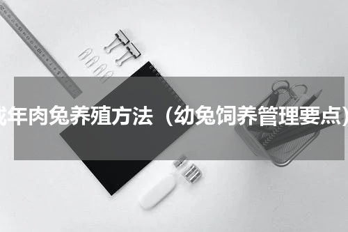 成年肉兔养殖方法（幼兔饲养管理要点）