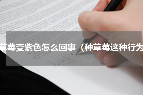 种草莓变紫色怎么回事（种草莓这种行为）