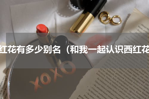 西红花有多少别名（和我一起认识西红花）
