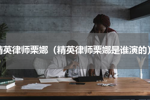 精英律师栗娜（精英律师栗娜是谁演的）