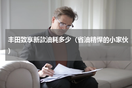 丰田致享新款油耗多少（省油精悍的小家伙）