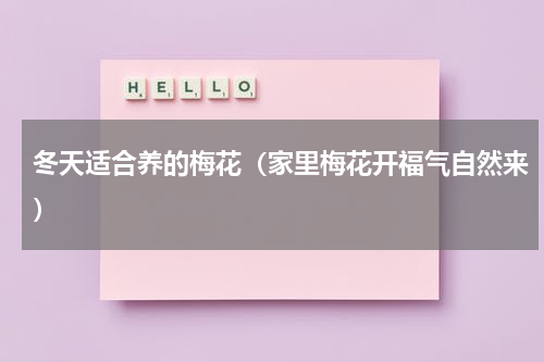 冬天适合养的梅花（家里梅花开福气自然来）