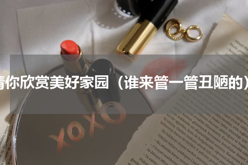 请你欣赏美好家园（谁来管一管丑陋的）