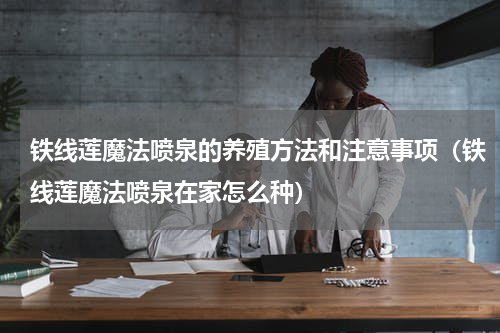 铁线莲魔法喷泉的养殖方法和注意事项（铁线莲魔法喷泉在家怎么种）