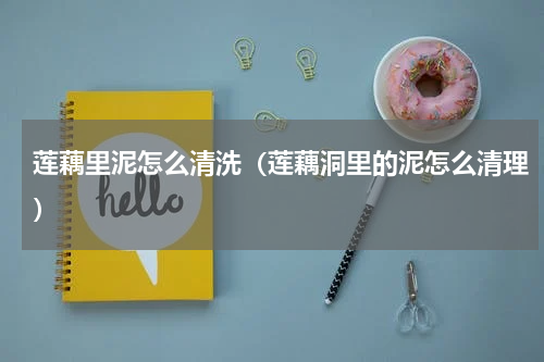 莲藕里泥怎么清洗（莲藕洞里的泥怎么清理）