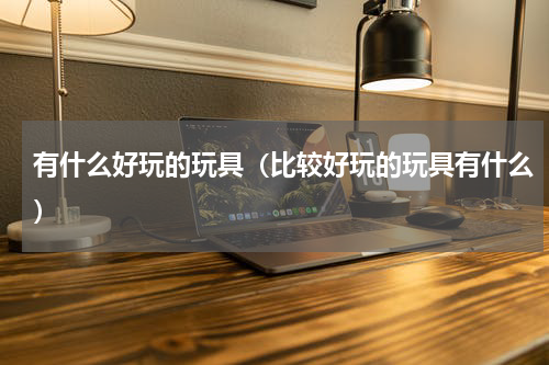 有什么好玩的玩具（比较好玩的玩具有什么）