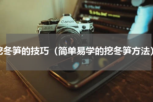 挖冬笋的技巧（简单易学的挖冬笋方法）