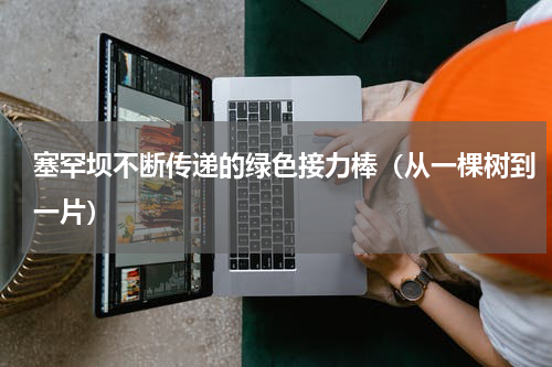 塞罕坝不断传递的绿色接力棒（从一棵树到一片）