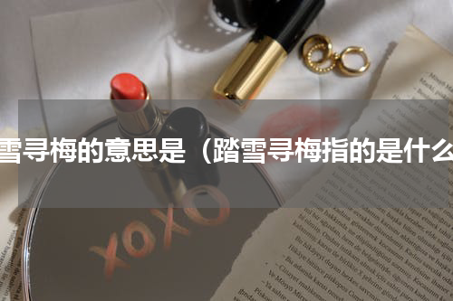 踏雪寻梅的意思是（踏雪寻梅指的是什么）