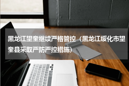 黑龙江望奎继续严格管控（黑龙江绥化市望奎县采取严防严控措施）