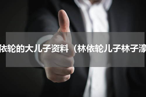 林依轮的大儿子资料（林依轮儿子林子濠）