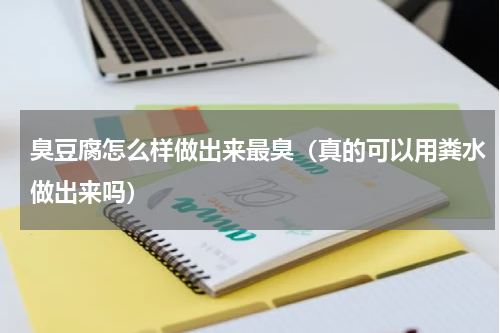 臭豆腐怎么样做出来最臭（真的可以用粪水做出来吗）