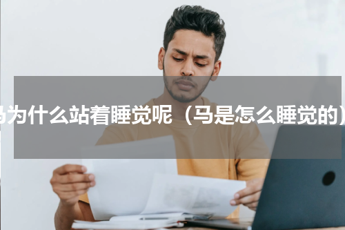 马为什么站着睡觉呢（马是怎么睡觉的）