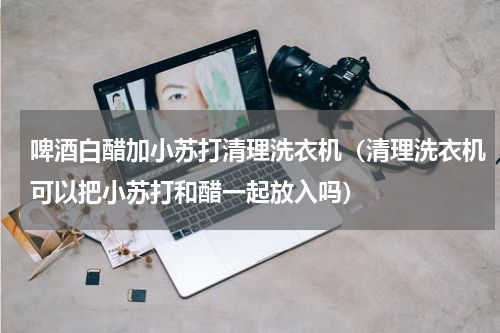 啤酒白醋加小苏打清理洗衣机（清理洗衣机可以把小苏打和醋一起放入吗）