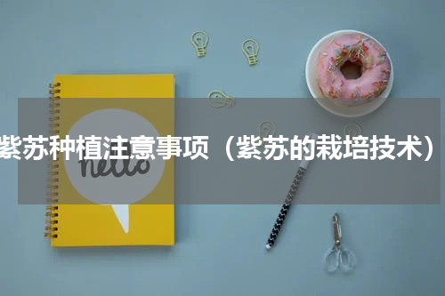 紫苏种植注意事项（紫苏的栽培技术）