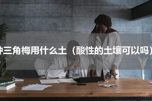 种三角梅用什么土（酸性的土壤可以吗）