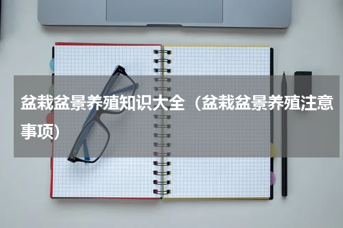 盆栽盆景养殖知识大全（盆栽盆景养殖注意事项）