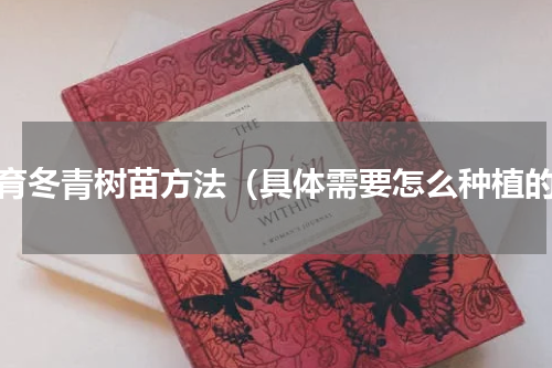 培育冬青树苗方法（具体需要怎么种植的）
