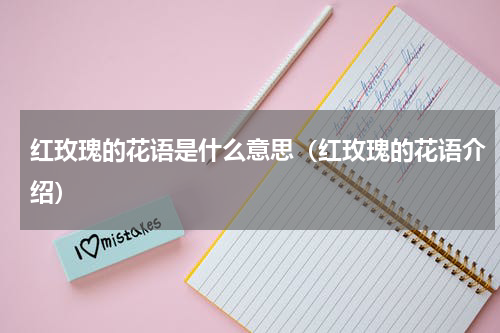 红玫瑰的花语是什么意思（红玫瑰的花语介绍）