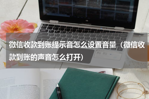 微信收款到账提示音怎么设置音量（微信收款到账的声音怎么打开）