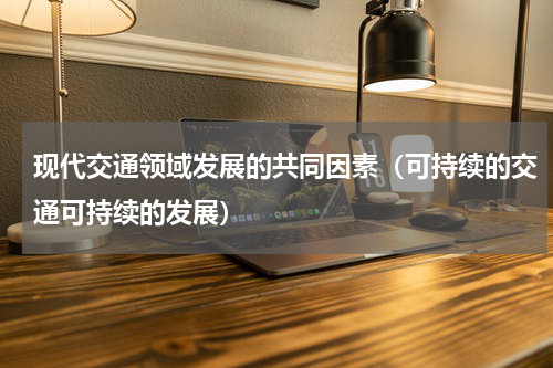 现代交通领域发展的共同因素（可持续的交通可持续的发展）