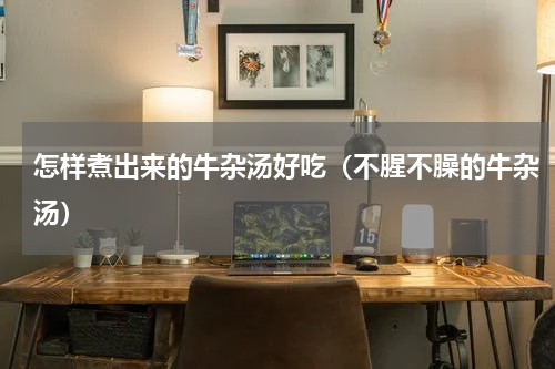 怎样煮出来的牛杂汤好吃（不腥不臊的牛杂汤）