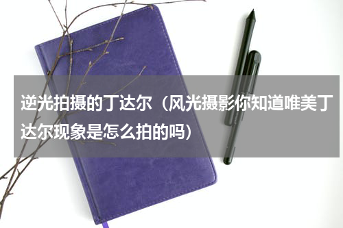 逆光拍摄的丁达尔（风光摄影你知道唯美丁达尔现象是怎么拍的吗）