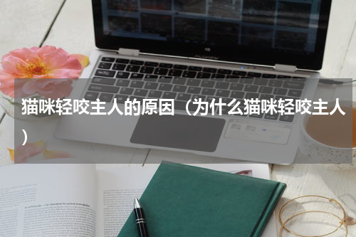 猫咪轻咬主人的原因（为什么猫咪轻咬主人）