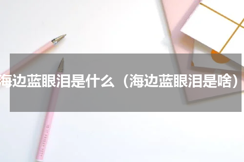海边蓝眼泪是什么（海边蓝眼泪是啥）
