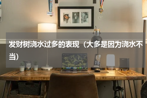发财树浇水过多的表现（大多是因为浇水不当）