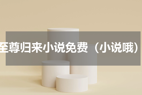 至尊归来小说免费（小说哦）