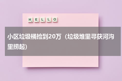 小区垃圾桶捡到20万（垃圾堆里寻获河沟里捞起）