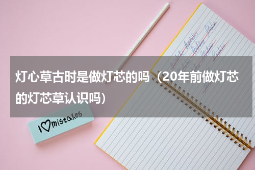 灯心草古时是做灯芯的吗（20年前做灯芯的灯芯草认识吗）