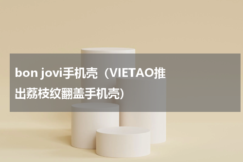 bon jovi手机壳（VIETAO推出荔枝纹翻盖手机壳）