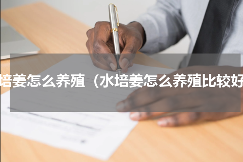 水培姜怎么养殖（水培姜怎么养殖比较好）