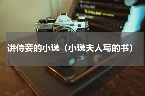 讲侍妾的小说（小说夫人写的书）